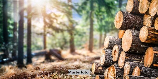 Keine Originalbilder