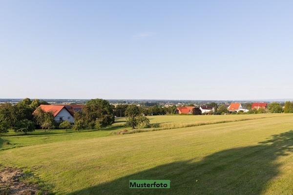 Keine Originalbilder