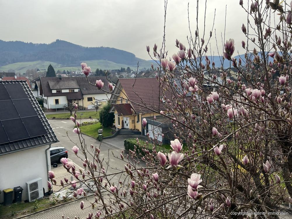 Ausblick