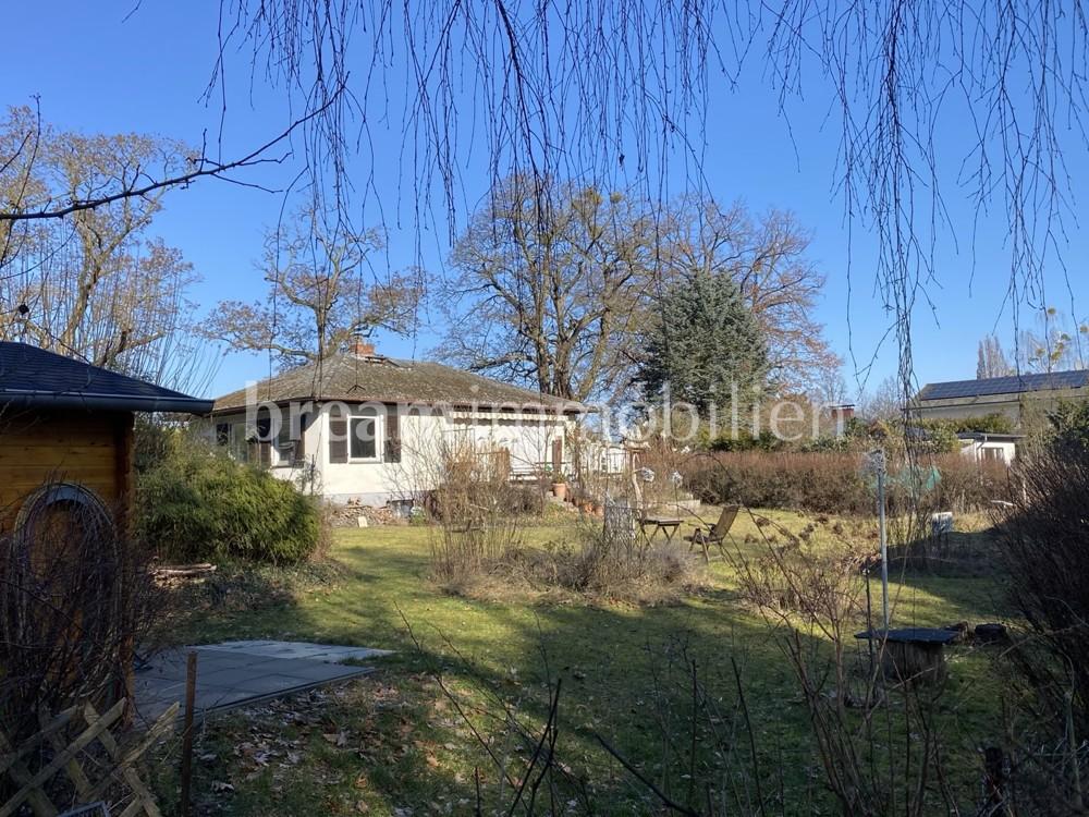 Grundstück vom Dorfwald aus