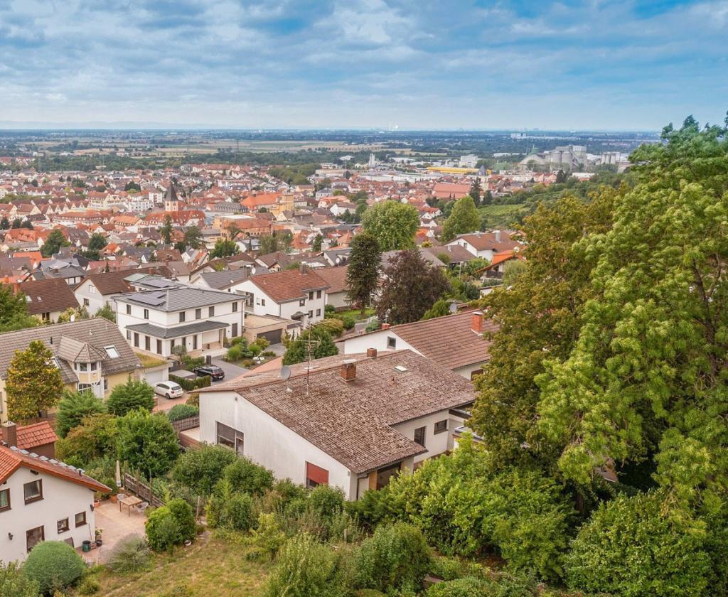 Ausblick