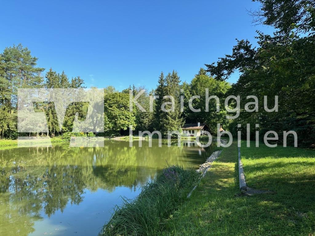 Panorama 1