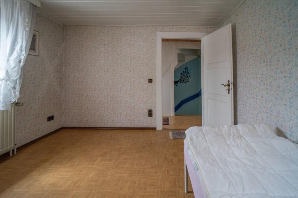 Zimmer DG-