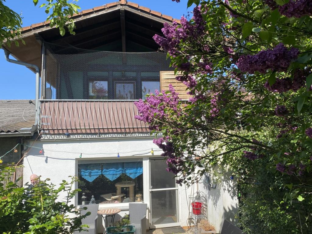 vermietetes Haus IIb