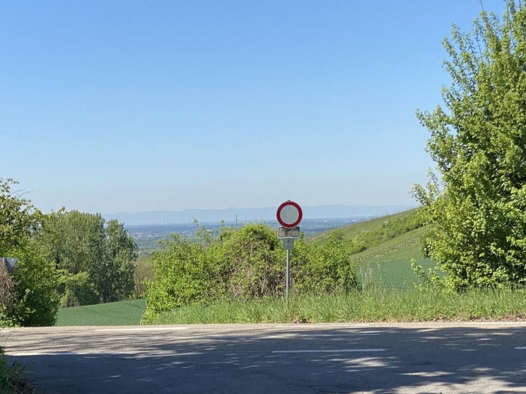 Aussicht Rheinebene