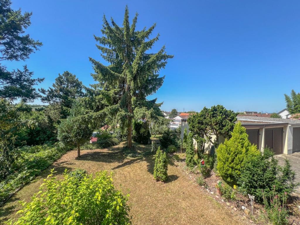 Garten mit Garagen