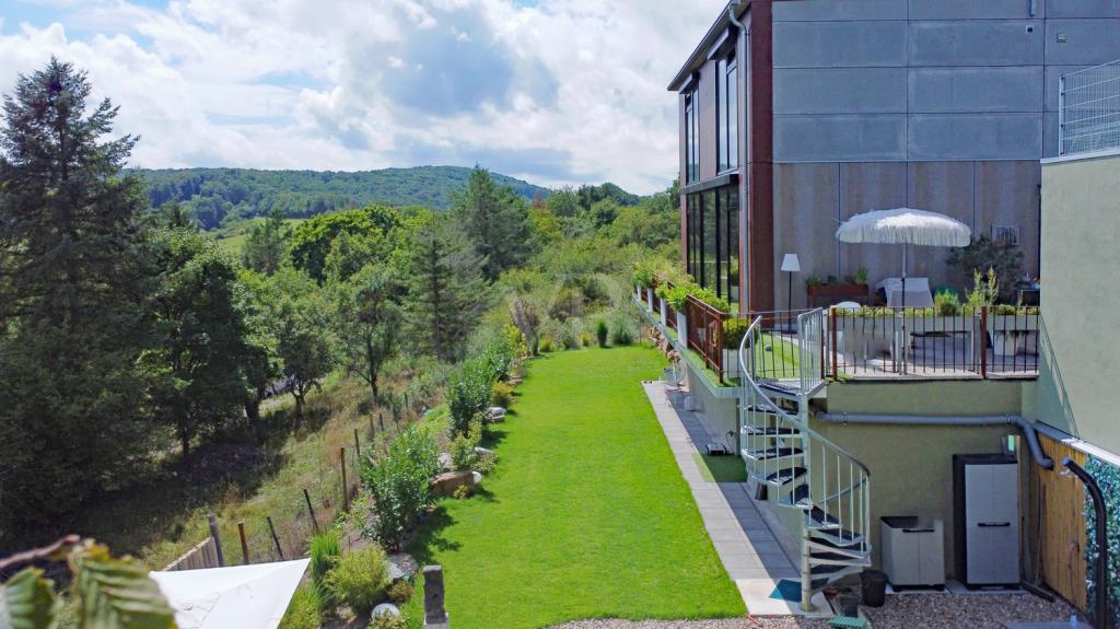 Gartenansicht Sommer 2025