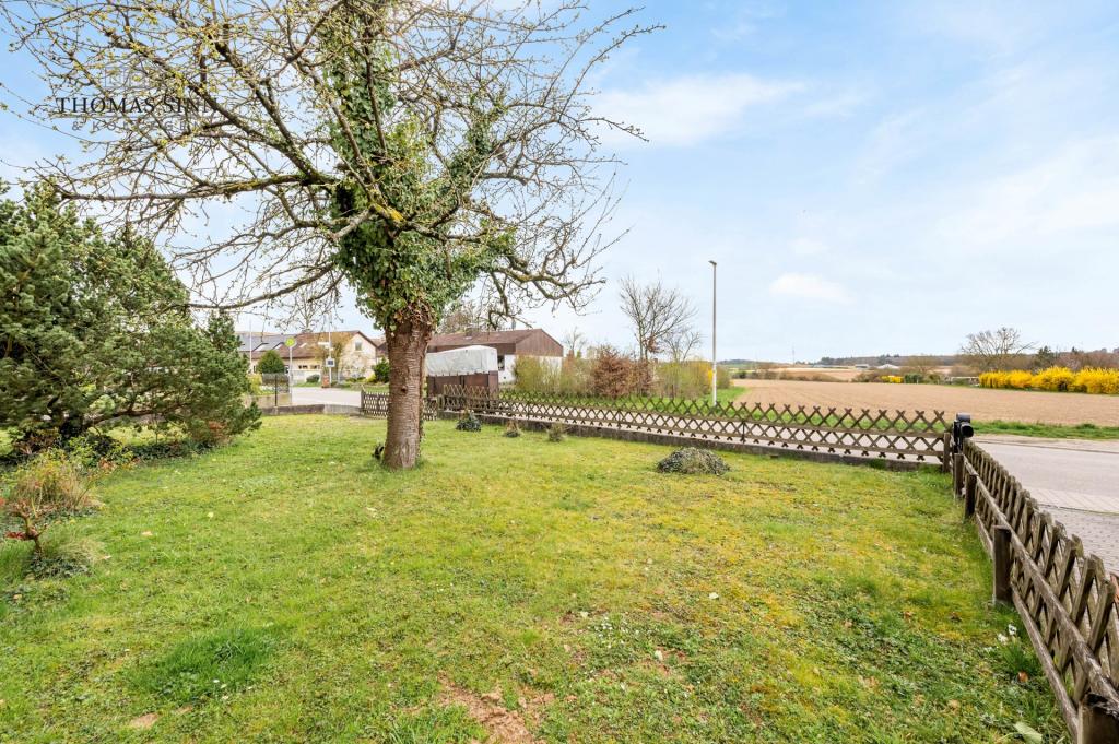 Garten vor dem Haus