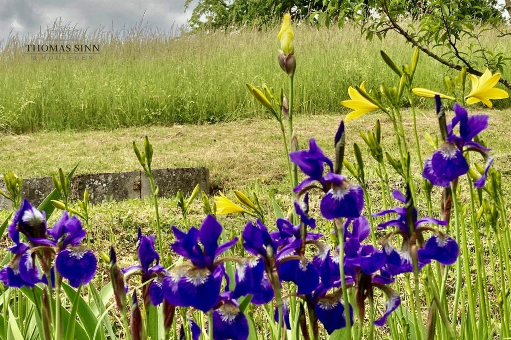 Gartenimpressionen