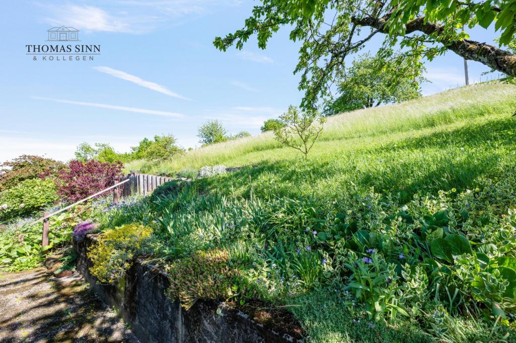 Wiese/Garten nördlich