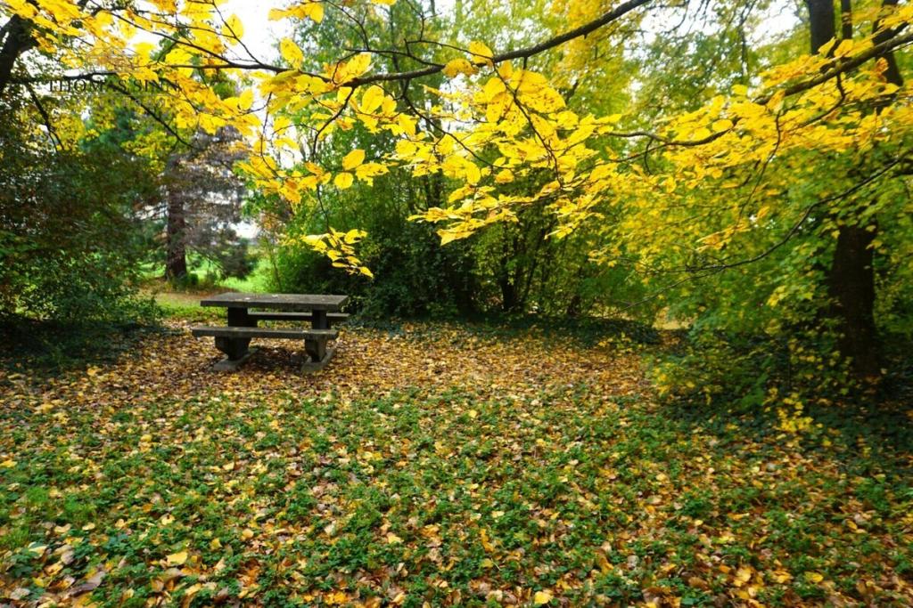 Parkähnlicher Garten