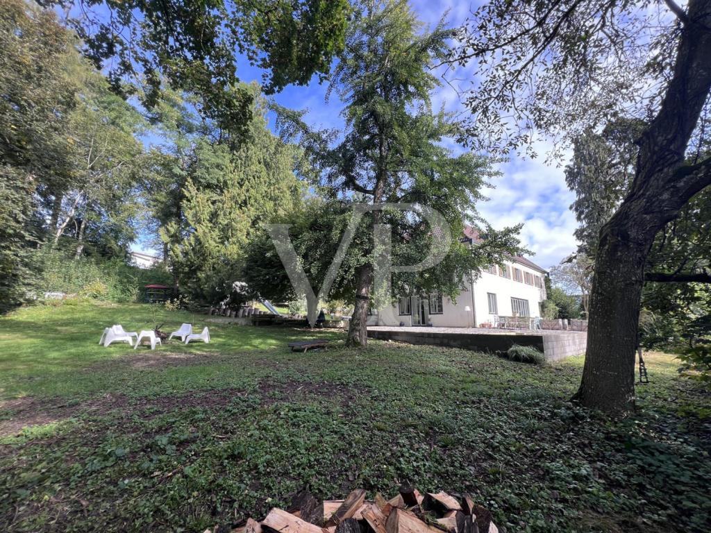 Gartenbereich mit Blick auf die Terrasse
