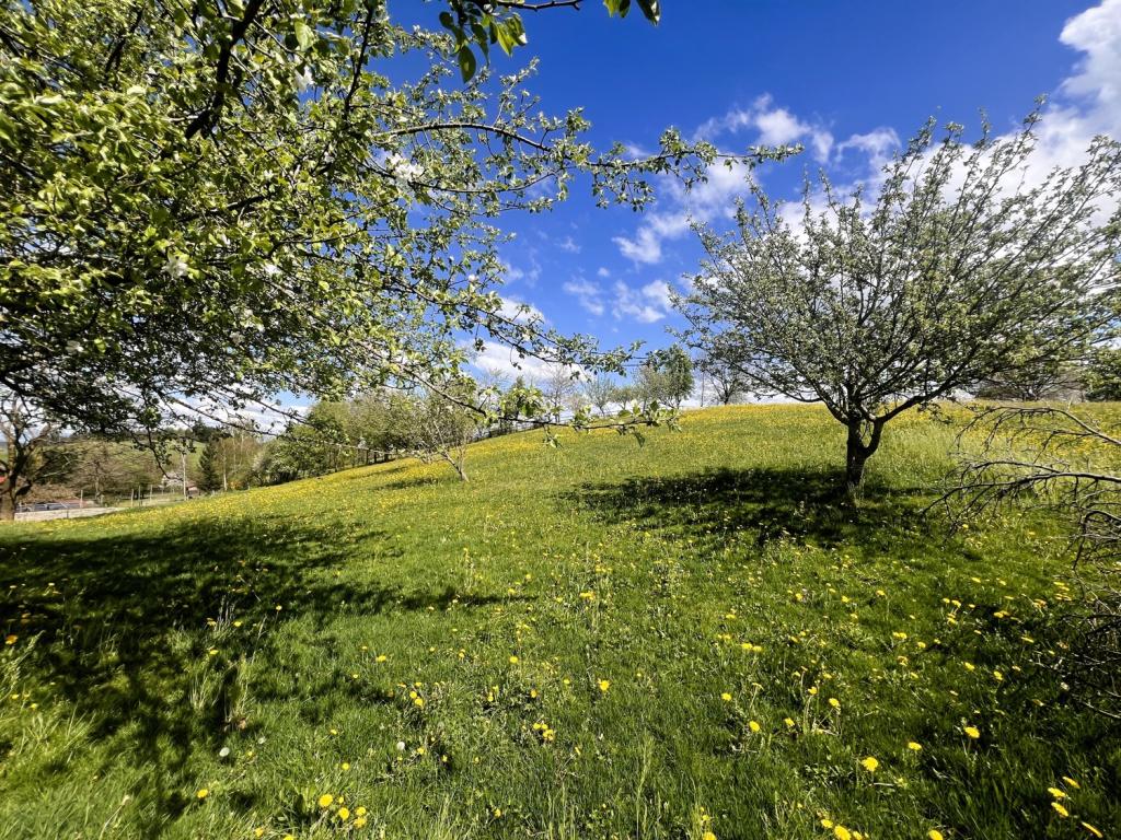 Koppel mit Obstbäumen