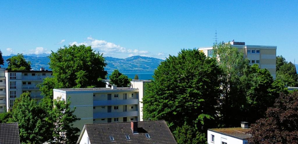 Drohnenaufnahmen Ausblick