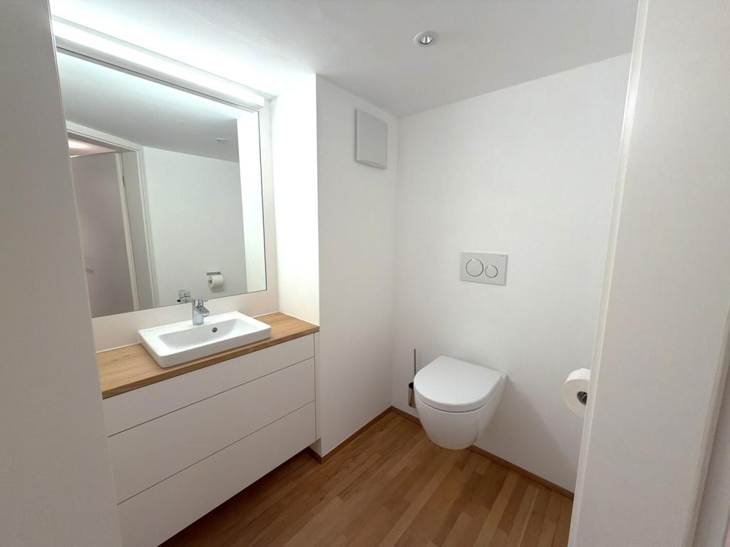 Lichtdurchflutetes Loft mit historischem Flair und komfortablem TG-Stellplatz - Foto 5