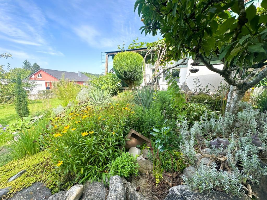 Impressionen Gartenbereich