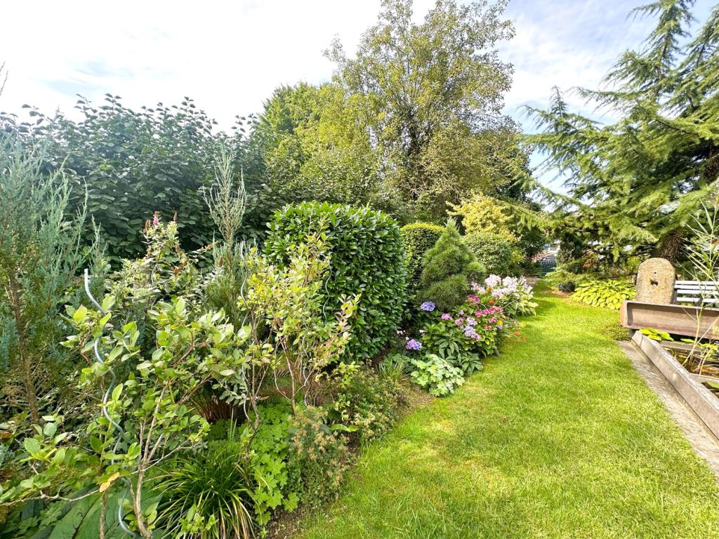 Impressionen Gartenbereich