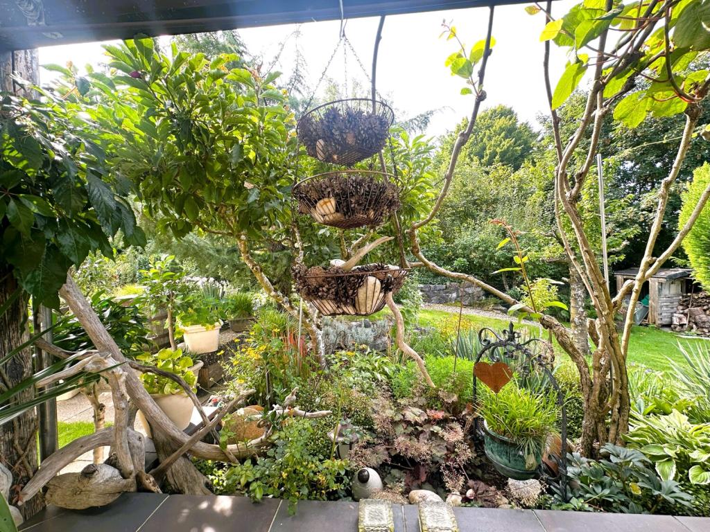 Impressionen Gartenbereich