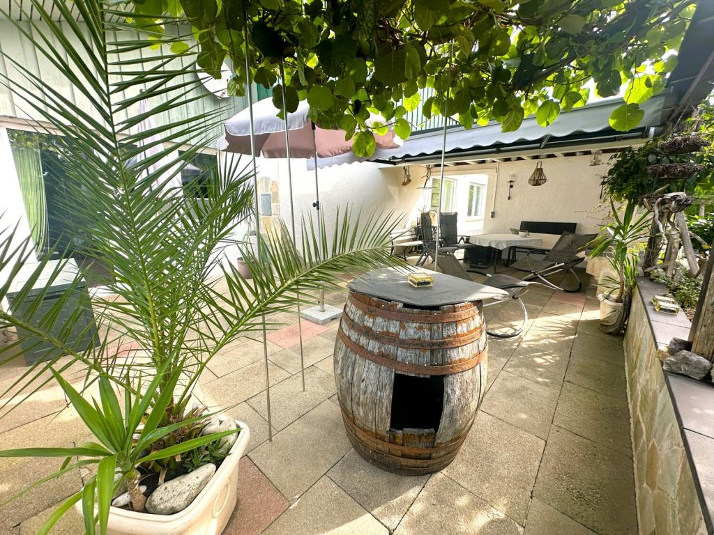 mediterran angelegte Terrasse