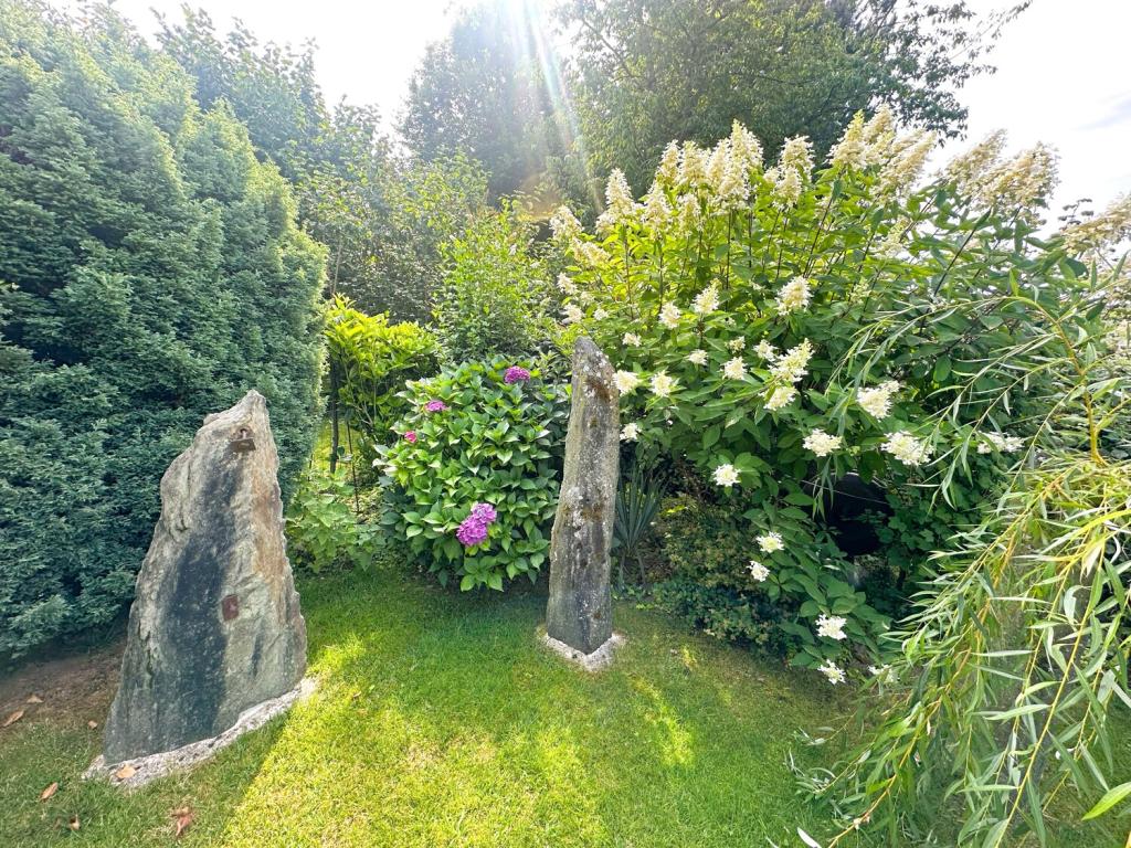 Impressionen Gartenbereich