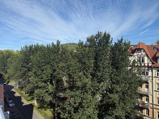 Blick Käthe Kollwitz