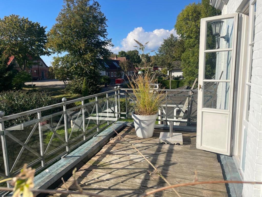 Zur Miete: Offene, helle Dachgeschosswohnung mit großem Sonnenbalkon - Foto 2