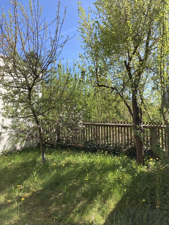 Grundstück Garten