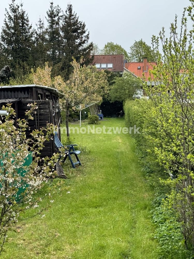 Blick Garten zum Haus