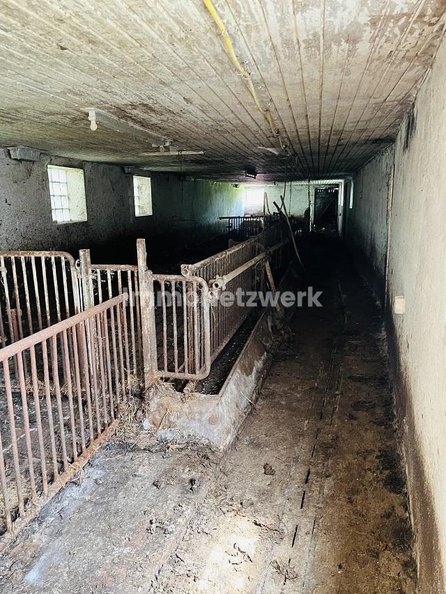 Stallung Tierhaltung 1