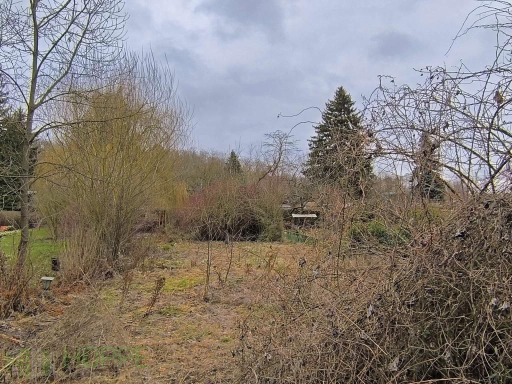 Garten 2