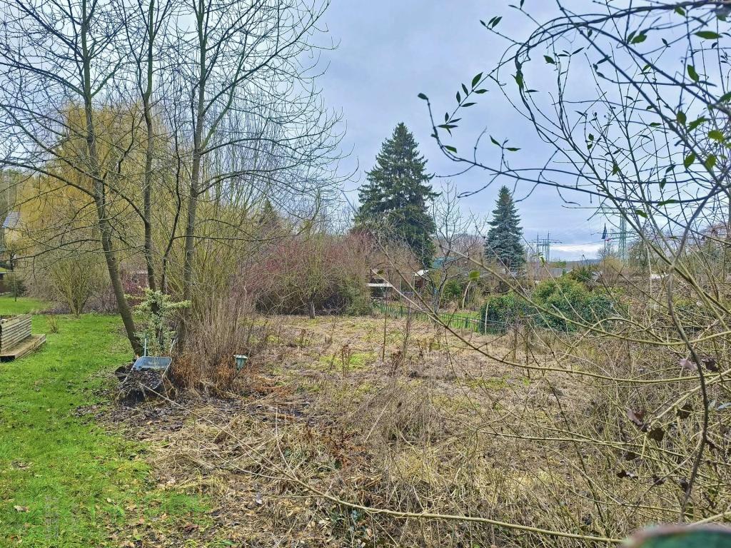 Garten 1