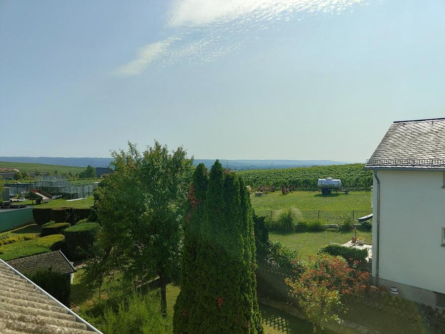 Blick DG