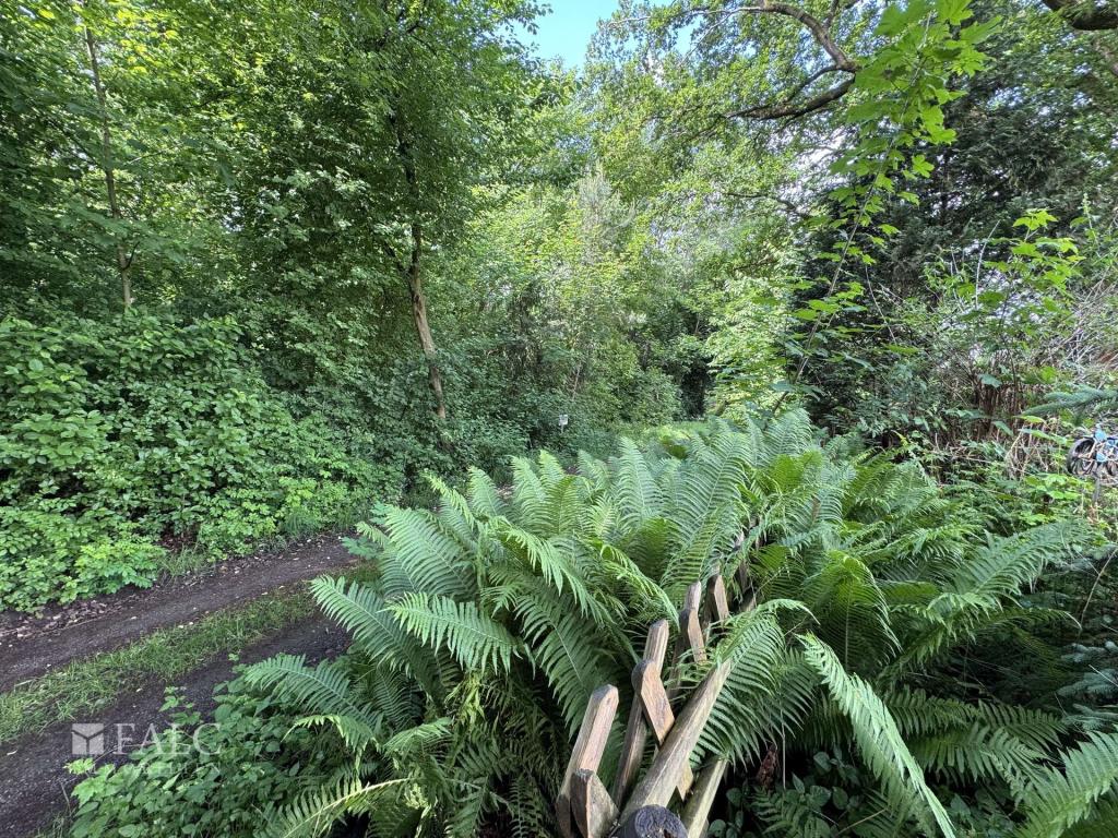 Weg hinten dem Grundstück