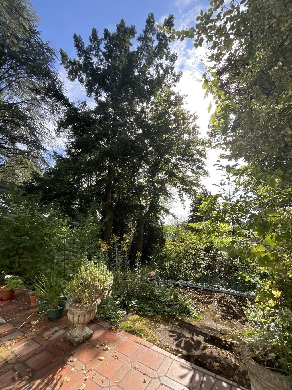 Außenansicht Garten
