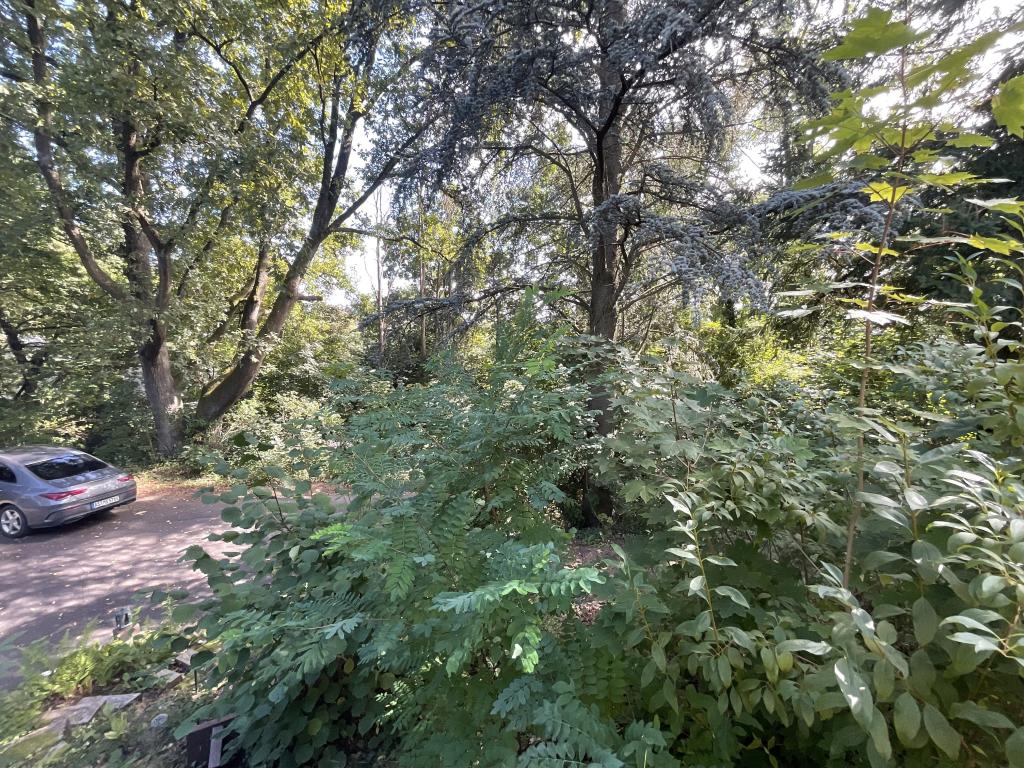 Außenansicht Garten