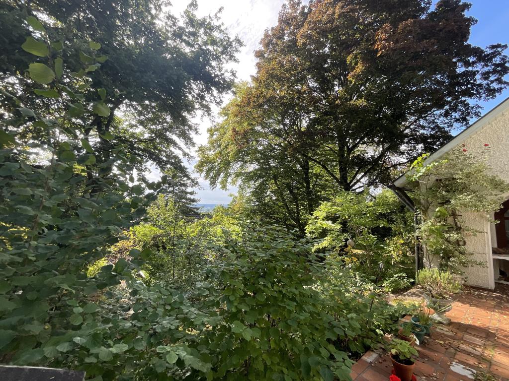 Außenansicht Garten