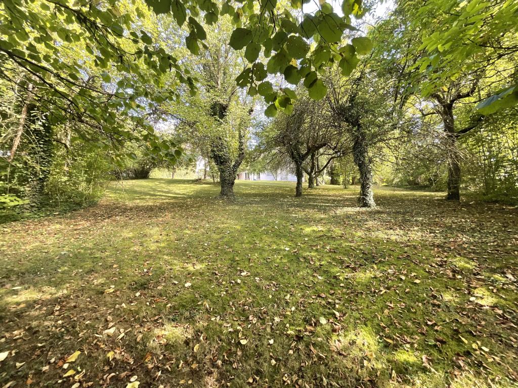 Außenansicht Garten
