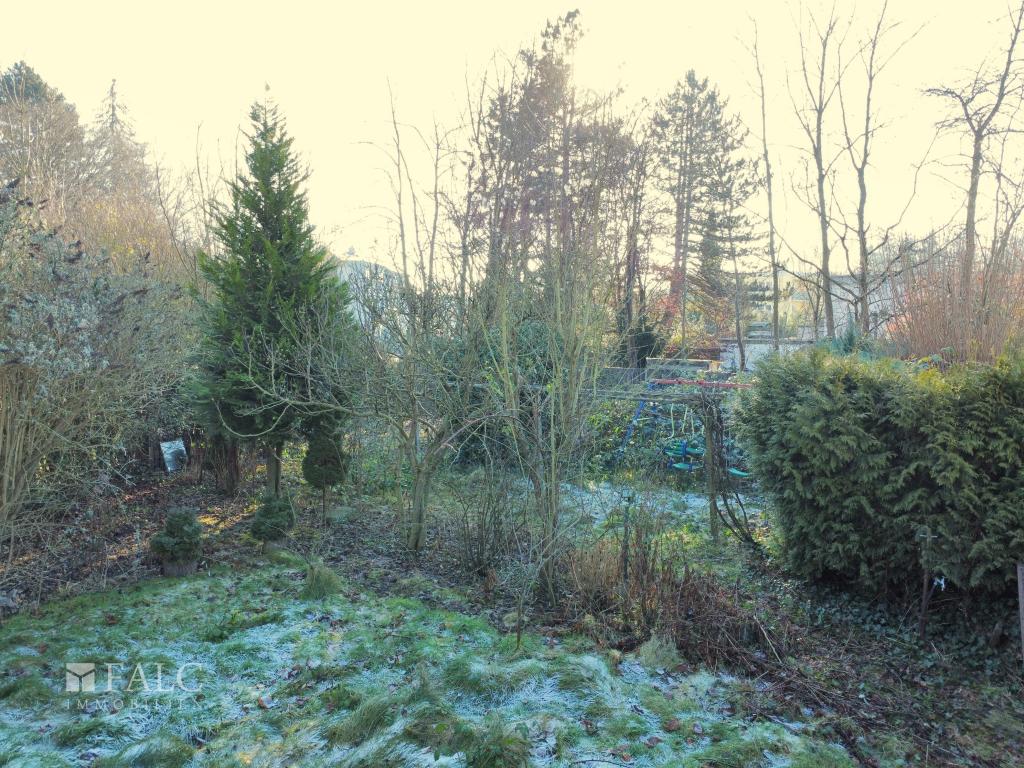 image00004