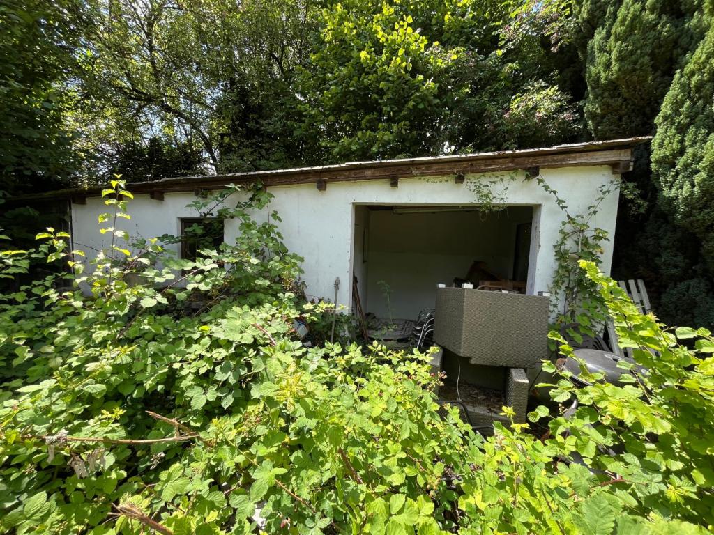 alte Gartenhütte