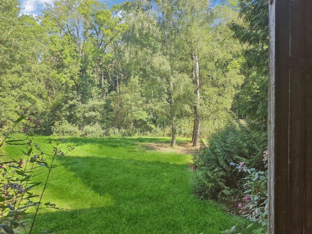 Blick auf den Grund