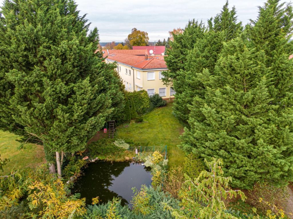 Blick vom Garten Richtung Gebäude
