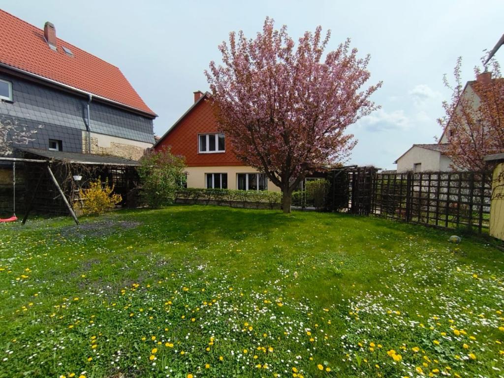 Gartenansicht