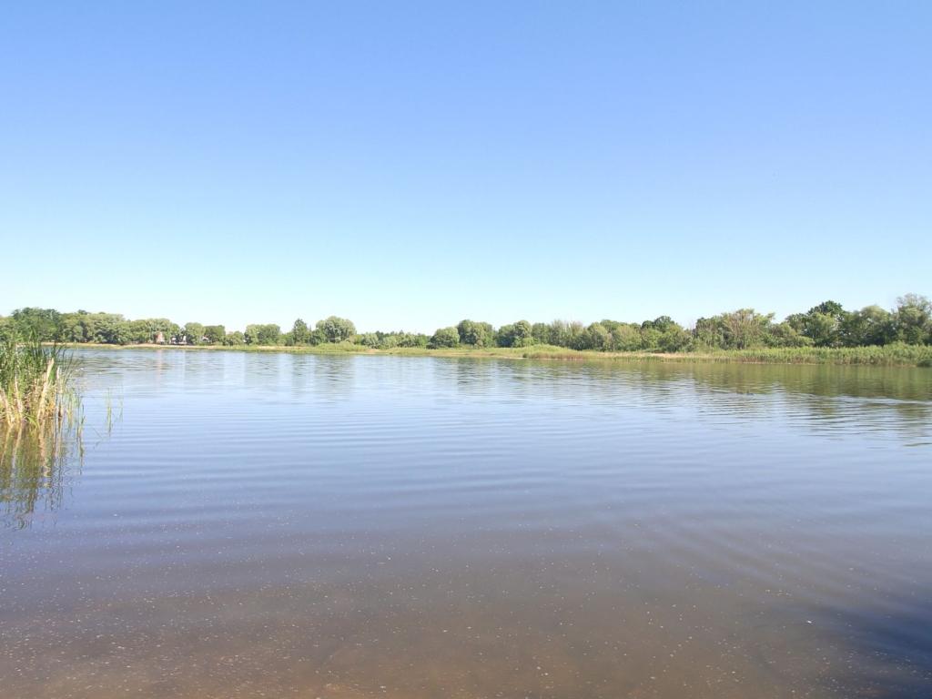Haussee