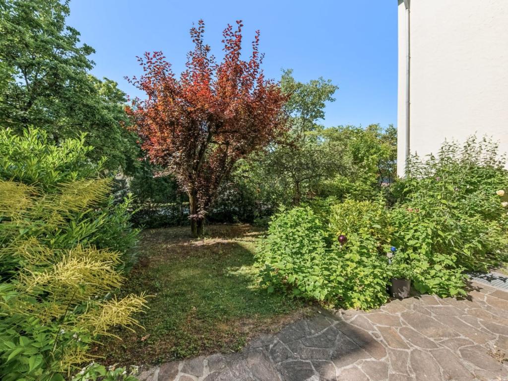 Blick Gemeinschaftsgarten
