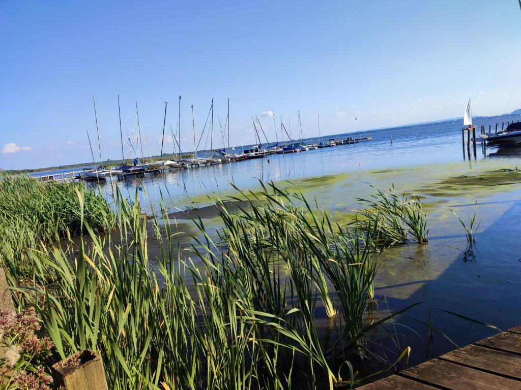 Segelhafen