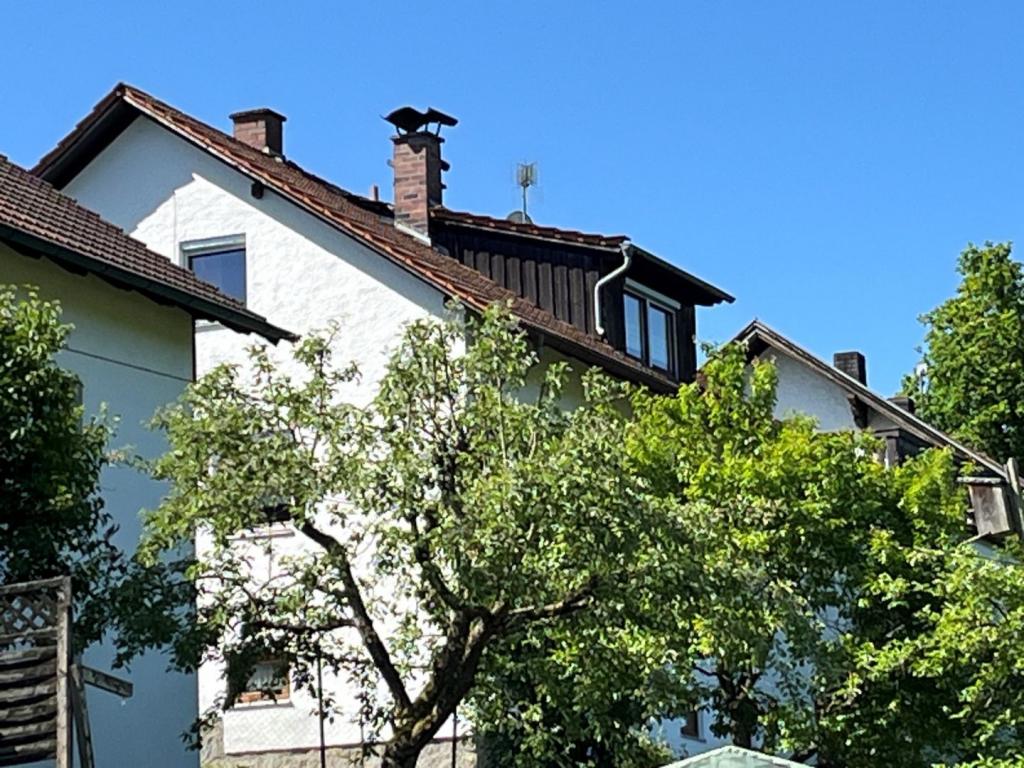 Ostansicht