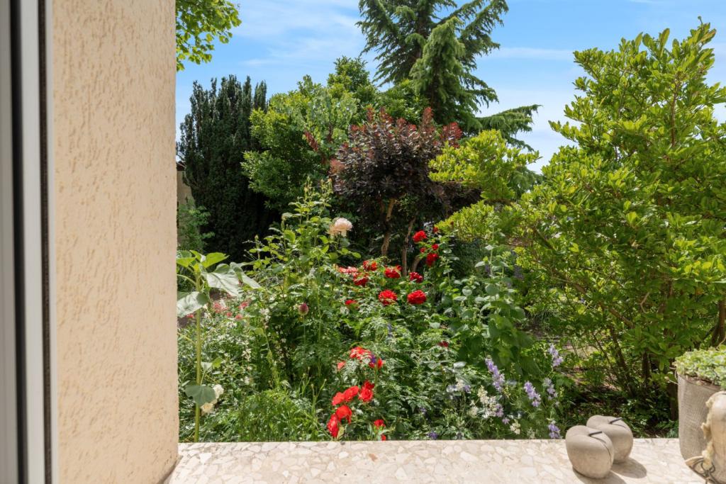 Ausblick auf den Garten