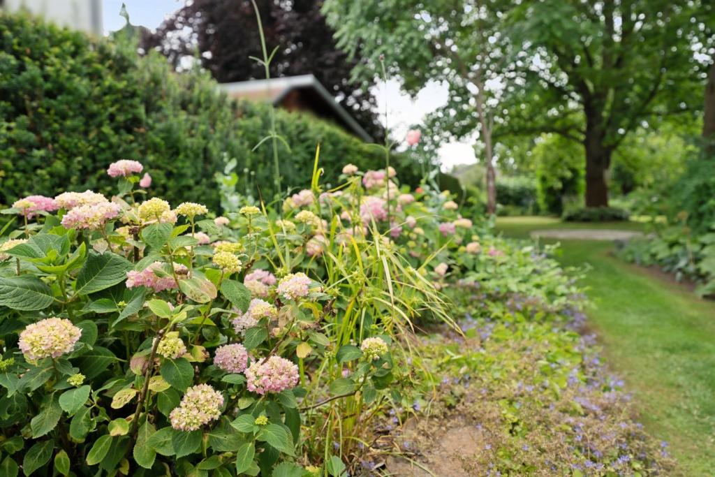 Impression aus dem Garten