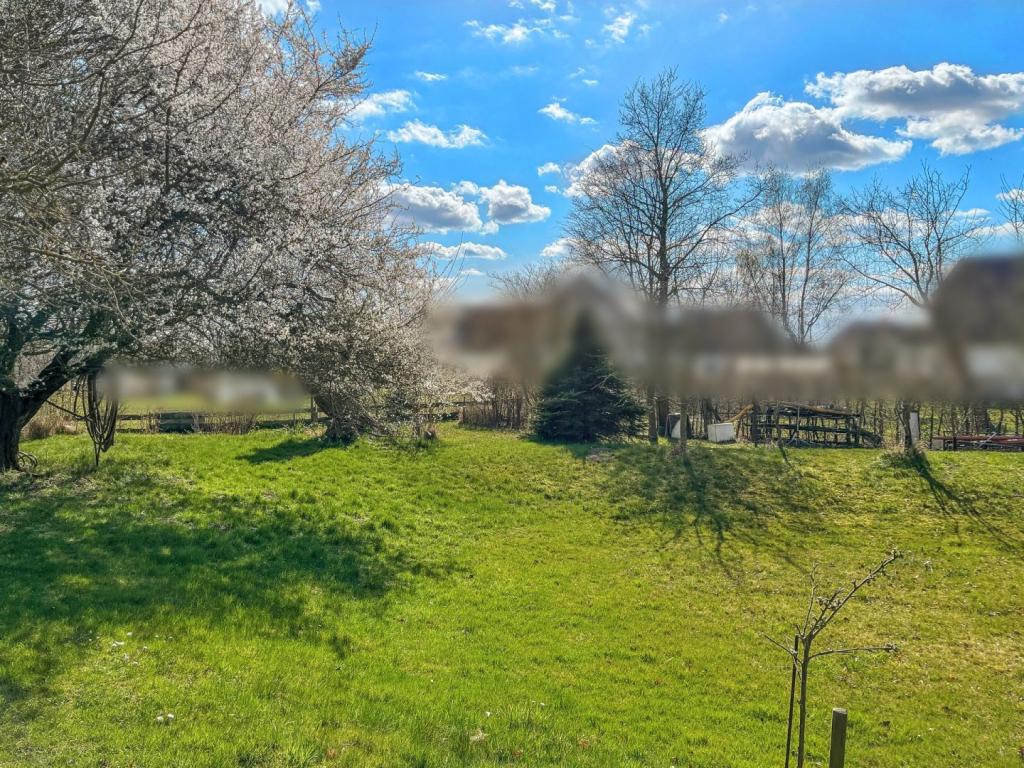 Grundstück - Garten 