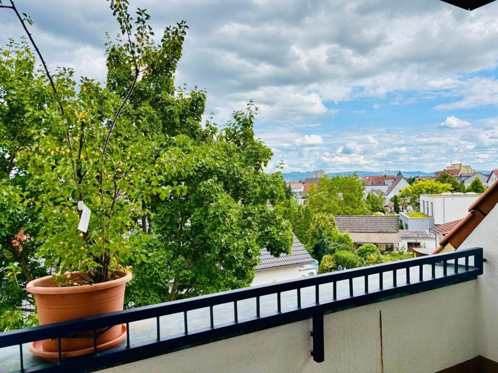Aussicht vom Balkon